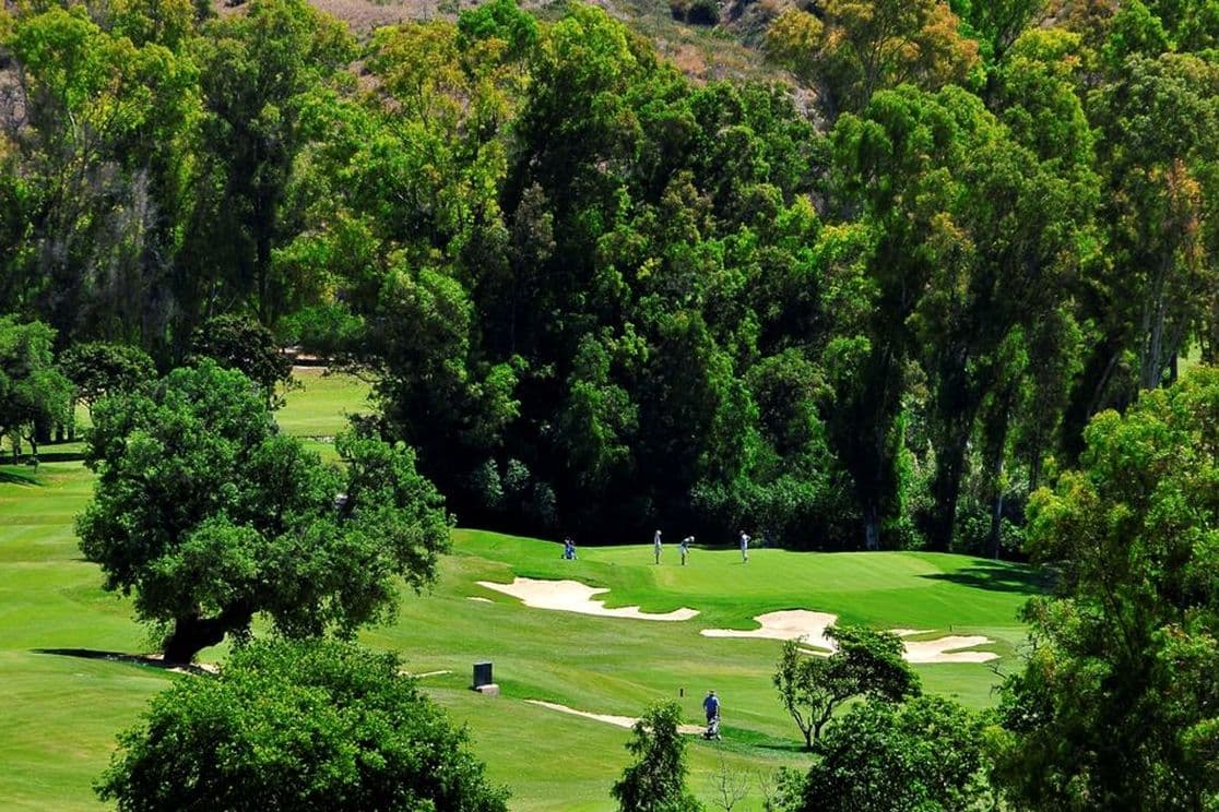 Golf an der Costa del Sol. Die besten Golfplätze in Málaga. Umgeben von Wald mit fünf Personen, die Golf spielen.