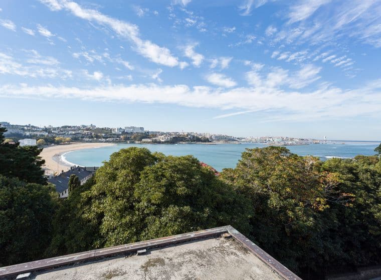 Vistes al mar a Oleiros. Arbres. Platja.