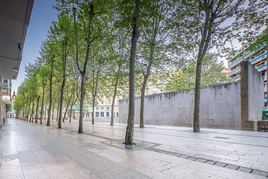 Plaza de los Fueros, Vitoria. Der zentrale Knotenpunkt der kulturellen Aktivität der Stadt, eine von Bäumen gesäumte Allee.