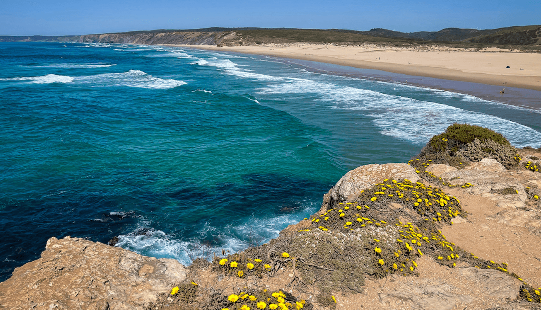 Aussicht von einer Klippe auf einen Sandstrand mit türkisfarbenen Wellen, felsigem Gelände und gelben Wildblumen unter einem klaren blauen Himmel.