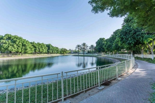 Ruhige Parklandschaft mit gewundenem Weg entlang eines stillen Sees, umgeben von üppig grünen Bäumen unter blauem Himmel.
