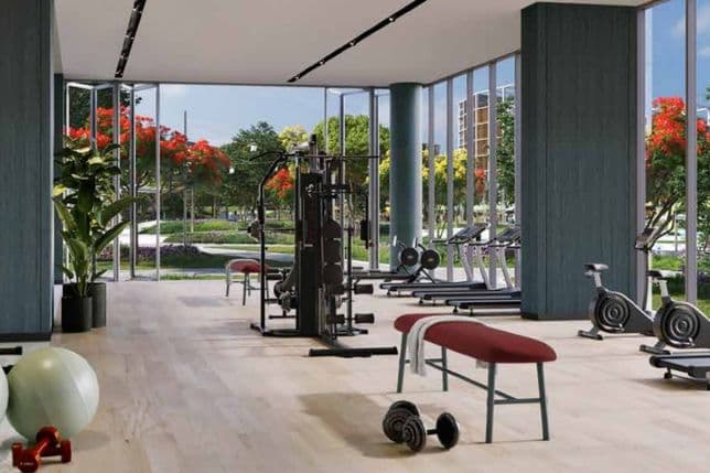 Modern gym with large windows, exercise machines, benches, dumbbells, and vibrant red-flowered trees visible outside.
