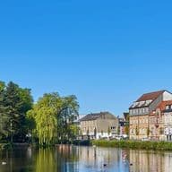 A serene riverside scene with modern buildings, trees, and a clear blue sky. A seagull flies above the calm water reflecting the surroundings.