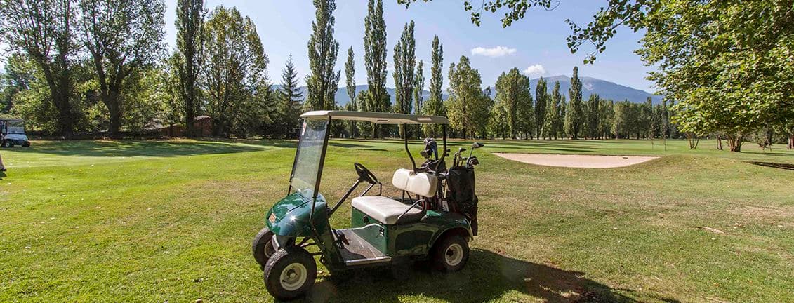 Carro de golf en un camp de golf envoltat d'arbres.