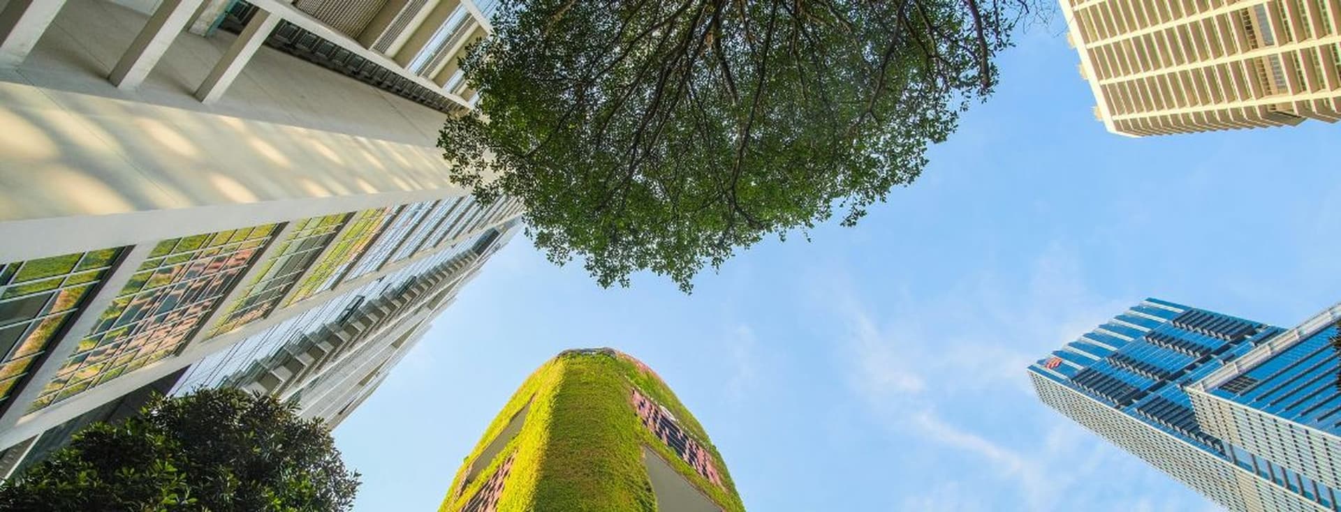Low-angle view of modern city buildings, a tree canopy, and a green facade against a blue sky. Εικόνα που δημιουργήθηκε με τεχνητή νοημοσύνη