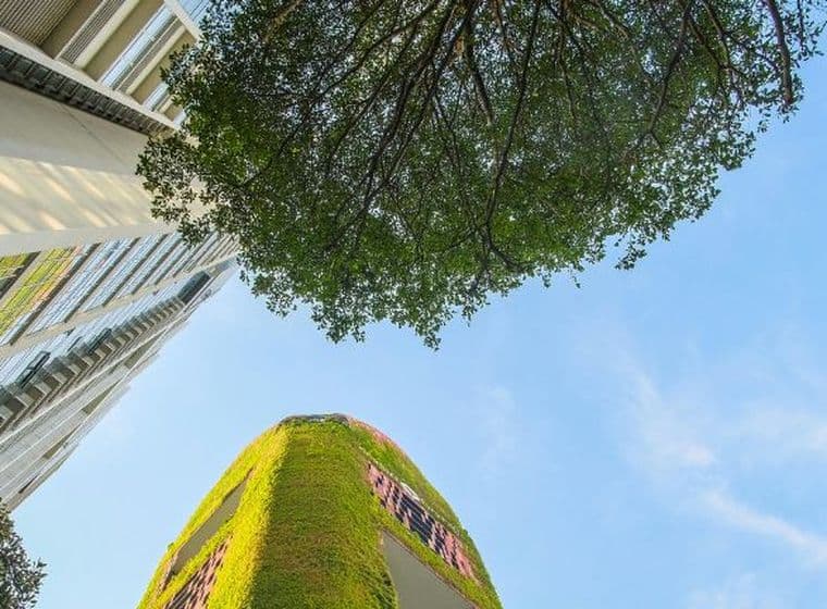 Low-angle view of modern city buildings, a tree canopy, and a green facade against a blue sky.