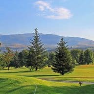 Camp de golf amb gespa verda envoltat de pins i muntanyes.