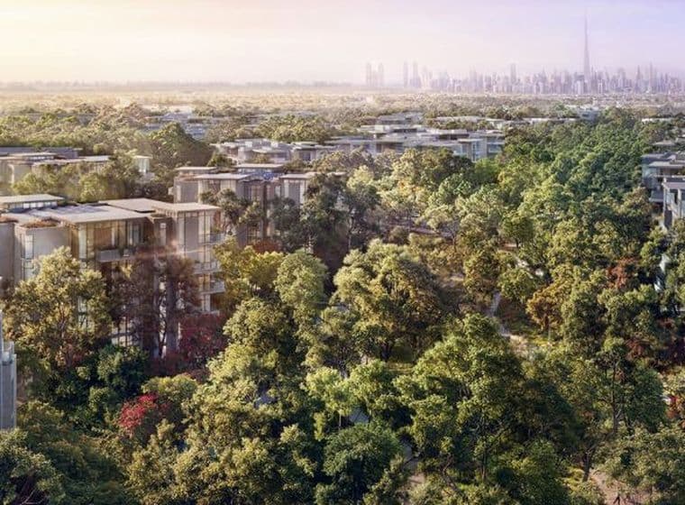 Eco-friendly homes amidst lush greenery at Ghaf Woods