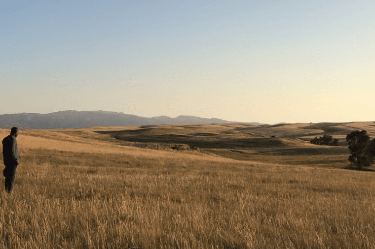 Una persona se encuentra en un prado dorado y contempla las suaves colinas y las montañas lejanas bajo un cielo crepuscular.