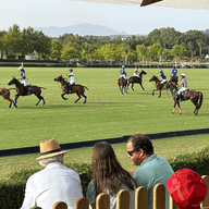 Partit de polo amb 7 persones assistint i 10 cavalls i competidors.