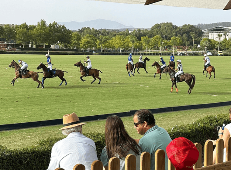 Partit de polo amb 7 persones assistint i 10 cavalls i competidors.