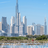 Ein See mit Flamingos mit Blick auf die Innenstadt von Dubai und den Burj Khalifa. Harmonische Verbindung von Natur und Stadtentwicklung im Rahmen des Dubai 2040 Urban Master Plan
