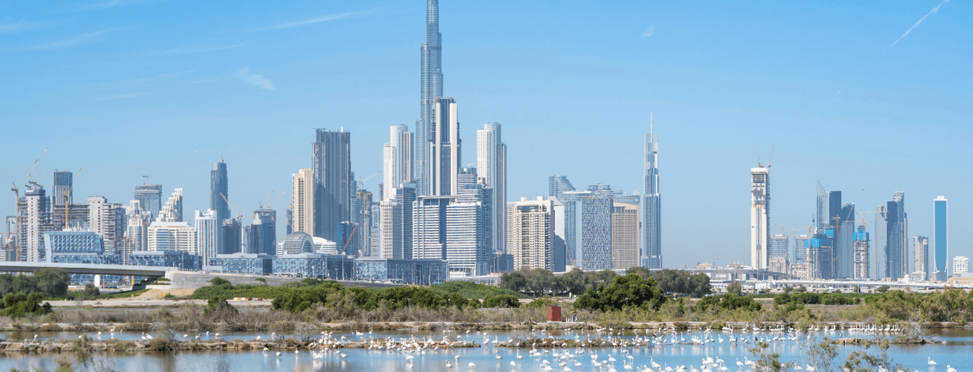 A lake with Flamingos overlooking Downtown Dubai and the Burj Khalifa. Harmoniously blending nature and urban development as part of the Dubai 2040 Urban Master Plan