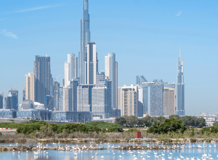 A lake with Flamingos overlooking Downtown Dubai and the Burj Khalifa. Harmoniously blending nature and urban development as part of the Dubai 2040 Urban Master Plan