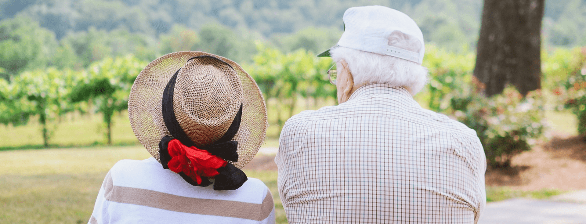 Casal de idosos sentado num banco, de chapéus postos, a contemplar uma paisagem com vegetação e árvores ao fundo.