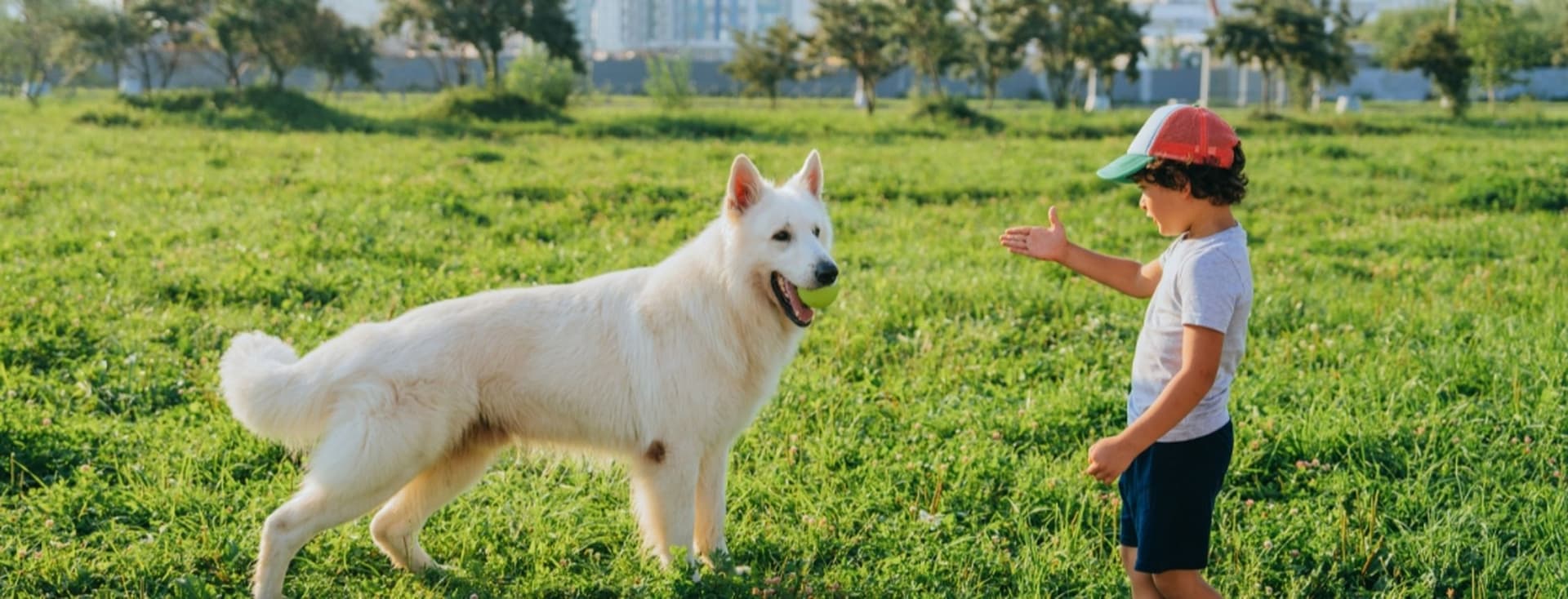 boy plays with dog in pet friendly park in Dubai