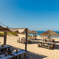 A beachside restaurant with wooden tables and straw umbrellas on sandy shore, overlooking the blue ocean under a clear sky.