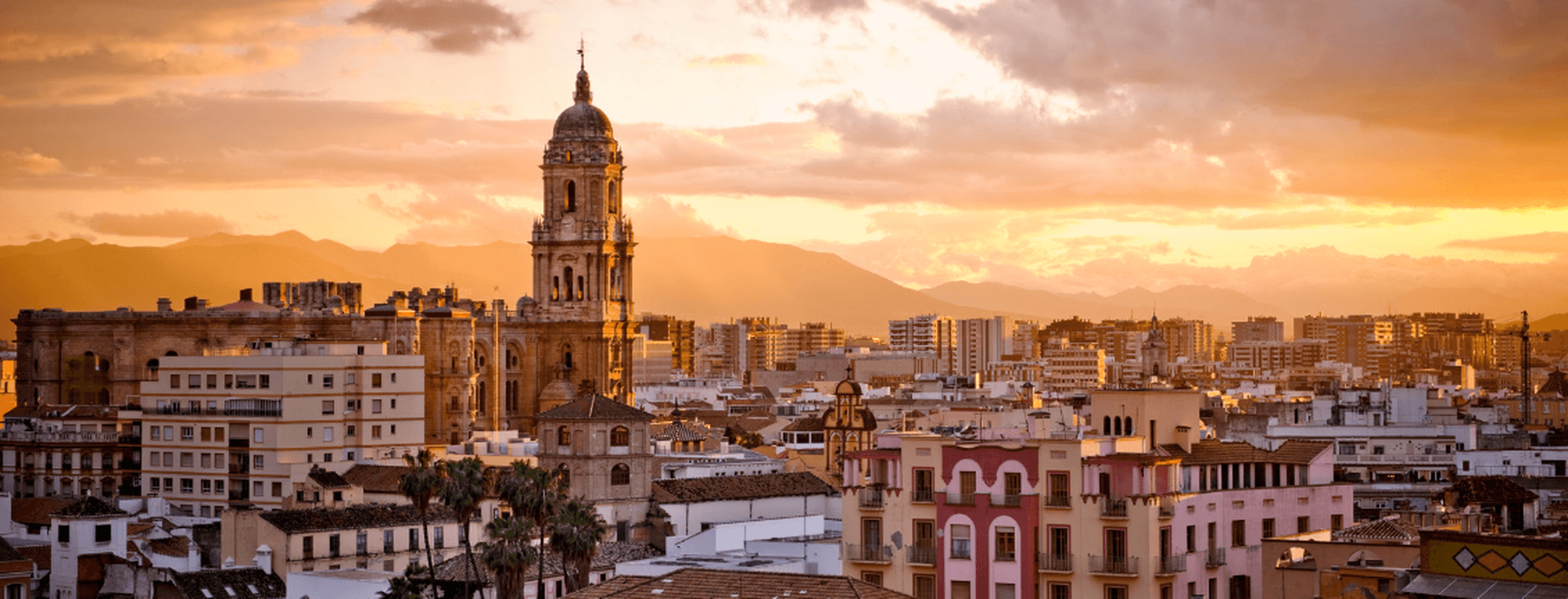 Panoramic view of the historic centre of Málaga, with the cathedral at the centre as the main feature, surrounded by many typical buildings