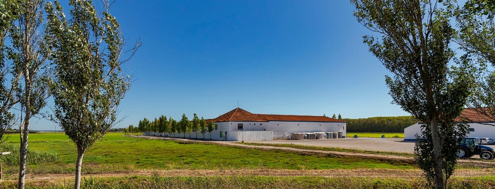 Uma paisagem rural com um edifício branco, telhado vermelho e árvores adjacentes sob um céu azul claro, rodeado por campos verdes.