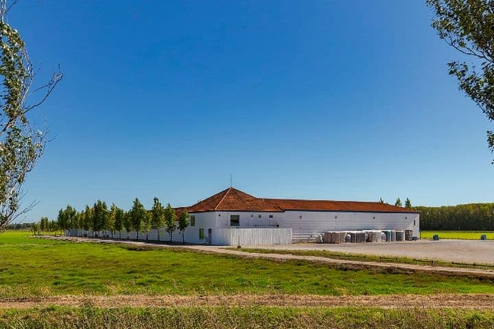 Uma paisagem rural com um edifício branco, telhado vermelho e árvores adjacentes sob um céu azul claro, rodeado por campos verdes.