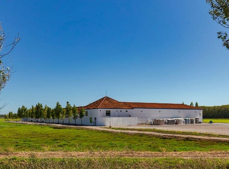 Eine ländliche Landschaft mit einem weißen Gebäude, rotem Dach und angrenzenden Bäumen unter einem klaren blauen Himmel, umgeben von grünen Feldern.