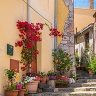 A charming narrow street with stone steps, vibrant flowers, colorful buildings with a wooden arch door, and lush vegetation.