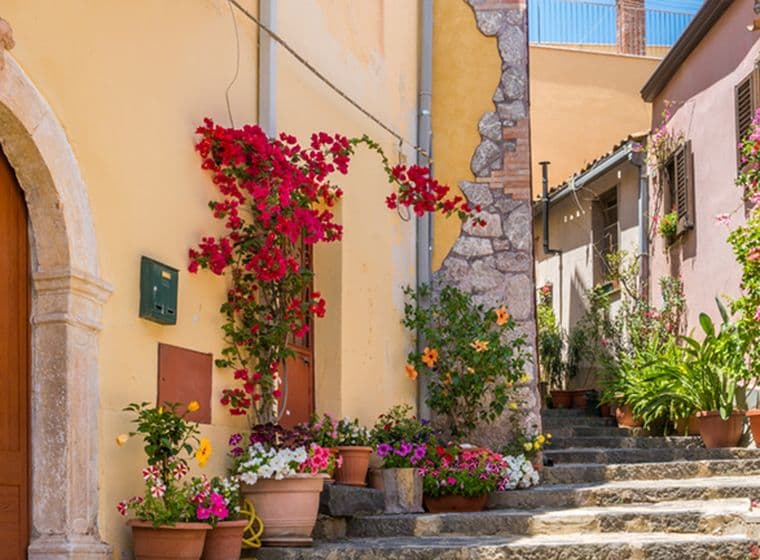 Charming narrow street with stone steps, vibrant flowers, and colorful houses adorned with plants and a wooden arched door.