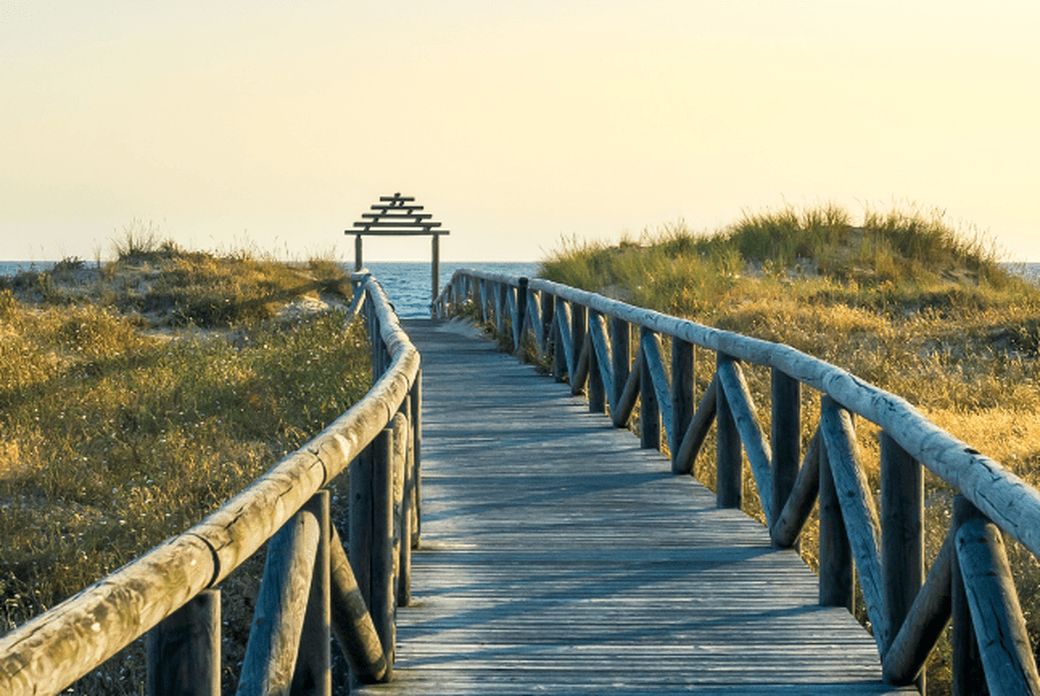A wooden pontoon is the entrance to the beach, with wild vegetation on each side.