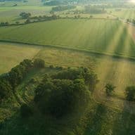 Luftaufnahme von sonnenbeschienenem Ackerland mit grünen Feldern, Bäumen und Hecken unter einem klaren Himmel. Die Sonnenstrahlen schaffen eine heitere Atmosphäre.
