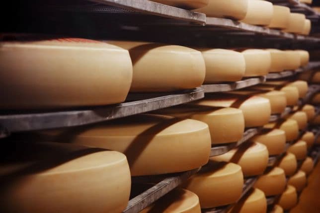 Rows of round cheese wheels aging on wooden shelves in a dimly lit storage room.