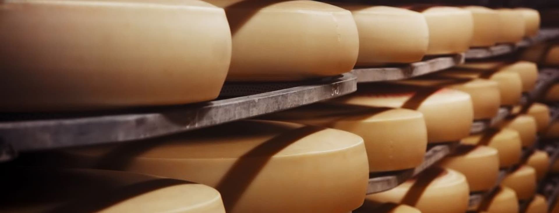 In einem schwach beleuchteten Lagerraum reihen sich große, runde Käselaibe in Holzregalen aneinander.