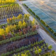 Luftbild einer großen Baumschule mit Reihen von Bäumen und Pflanzen in Töpfen unter Sonnenschutznetzen, ideal für Landschaftsgestaltung und Bauprojekte