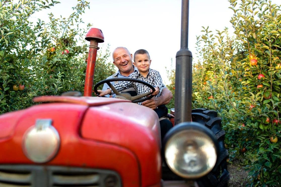 A smiling grandfather and his grandchild sit together on a red tractor in a sunny orchard with apple trees.