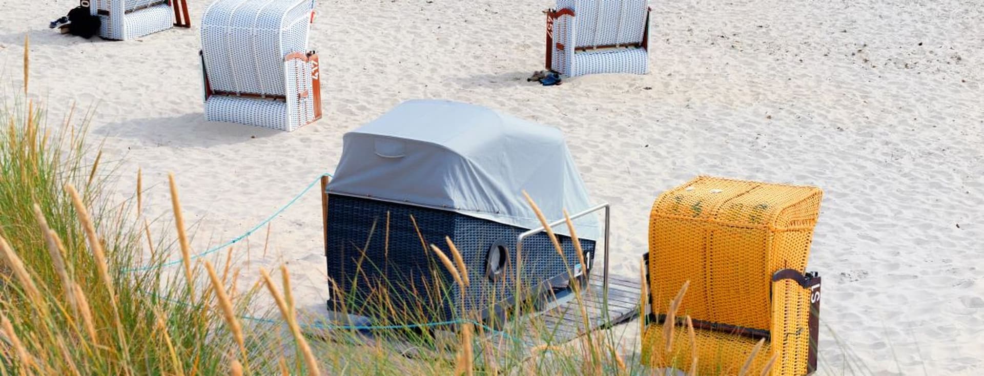 Beach scene with several striped and solid-colored beach chairs on sand, surrounded by grass.