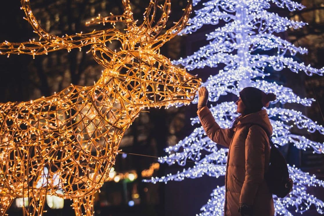 Person in a winter coat touches a large reindeer sculpture made of golden lights, with illuminated trees in the background.