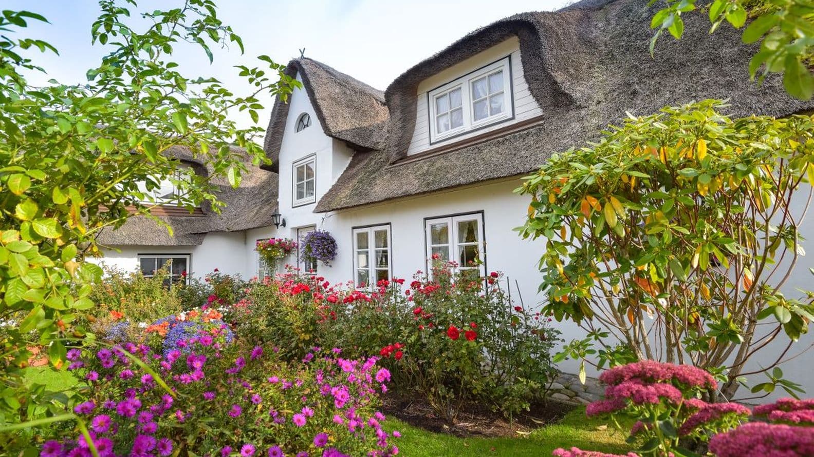 Charming cottage with a thatched roof, surrounded by vibrant flowers and lush greenery under a clear blue sky.