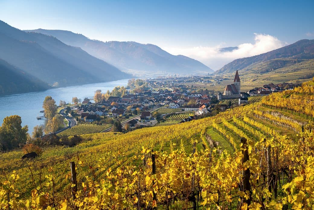 Scenic view of a vineyard in autumn, overlooking a river and a village with a church, surrounded by mountains under a clear blue sky.