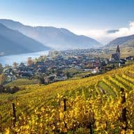 Scenic view of a vineyard in autumn, overlooking a river and a village with a church, surrounded by mountains under a clear blue sky.