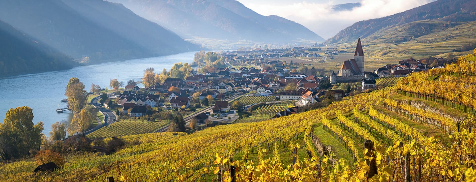 Scenic view of a vineyard in autumn, overlooking a river and a village with a church, surrounded by mountains under a clear blue sky.