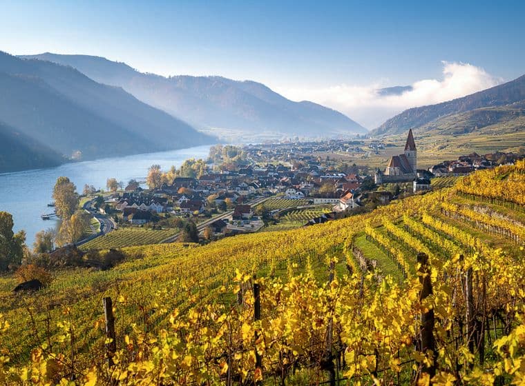 Scenic view of a vineyard in autumn, overlooking a river and a village with a church, surrounded by mountains under a clear blue sky.