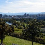 Zürich-Panorama von Höngg aus gesehen. Das Bild zeigt die Stadt Zürich mit einigen Weinbergen an einem schönen Herbsttag.