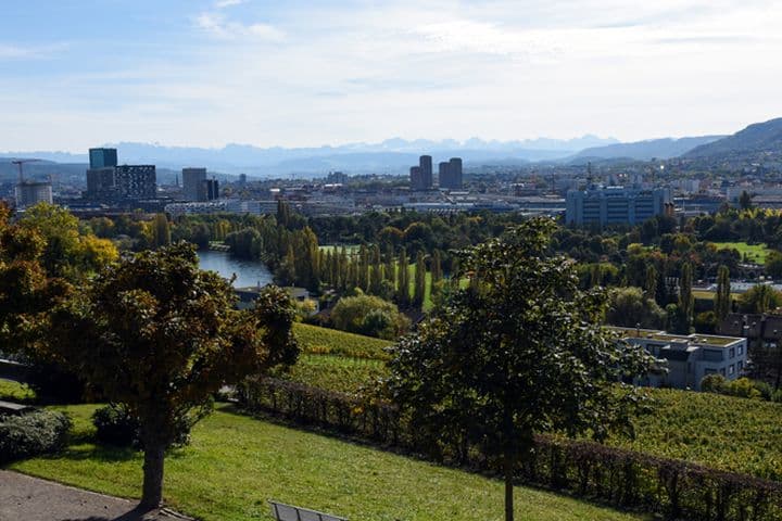 Panorama de Zurich vu depuis Höngg. L'image montre la ville de Zurich avec quelques vignobles lors d'une belle journée d'automne.