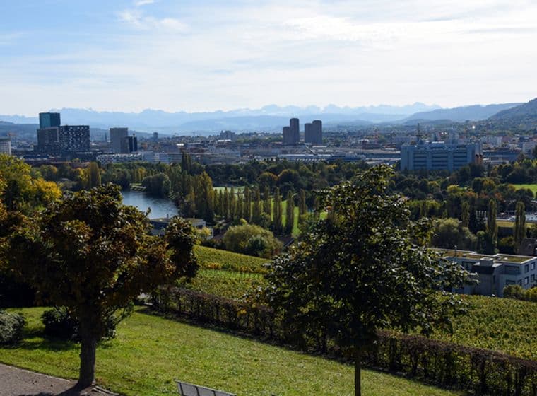 Zürich-Panorama von Höngg aus gesehen. Das Bild zeigt die Stadt Zürich mit einigen Weinbergen an einem schönen Herbsttag.