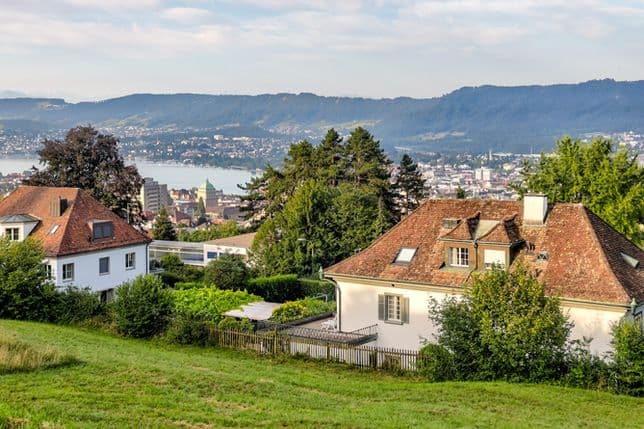 Ausblick auf Zürich Höngg und Zürichsee in sommerlichem Ambiente