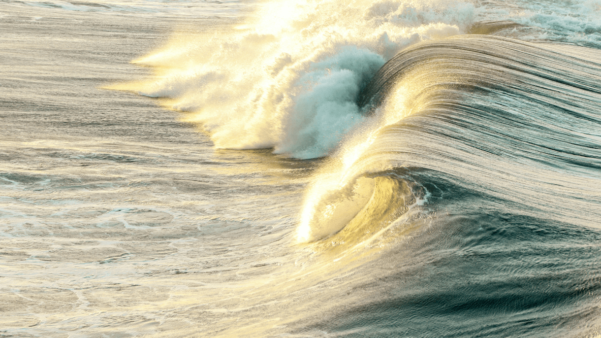 Golden sunlight illuminates powerful ocean waves crashing, creating a dramatic and dynamic seascape.