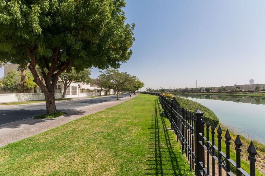 Von Bäumen gesäumte Straße in Emirates Hills