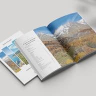 Market Report Italia 2025