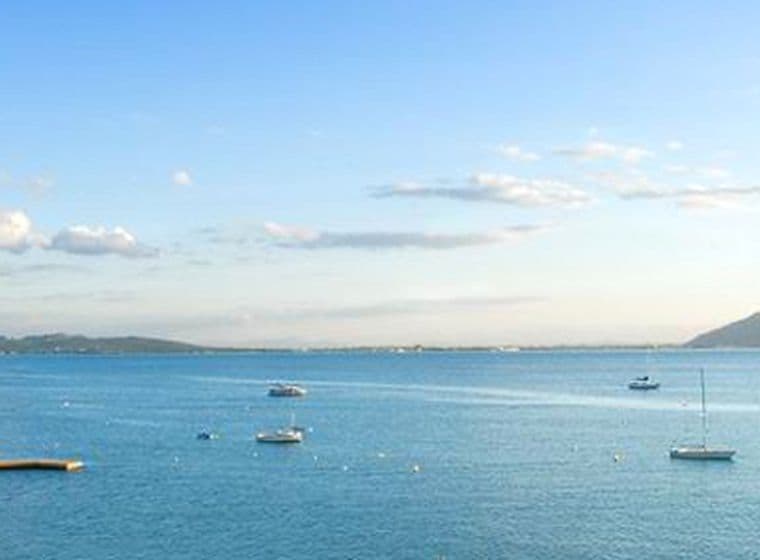 Hermosa vista al mar amb vaixells i una palmera