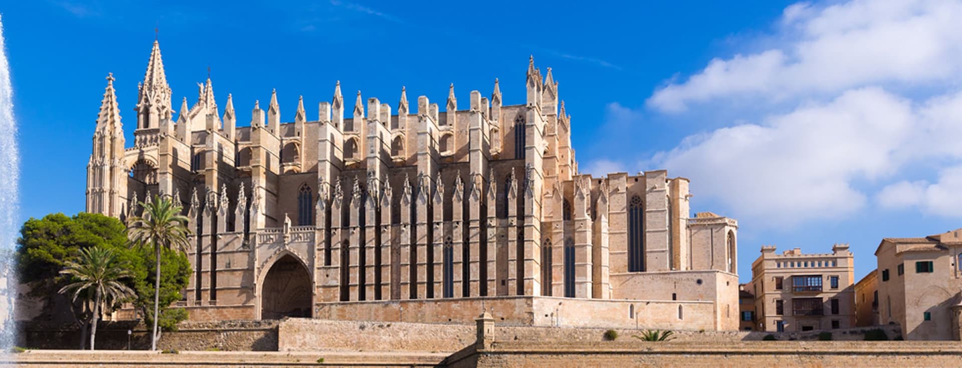 Catedral de Palma con una fuente y palmeras.