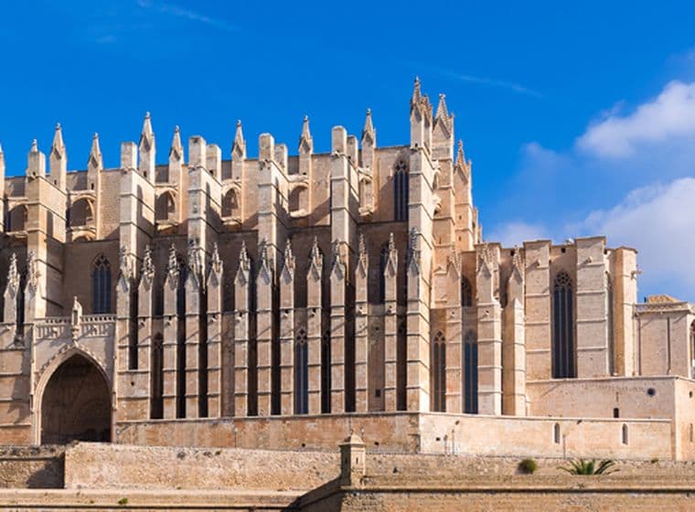 Catedral de Palma con una fuente y palmeras.